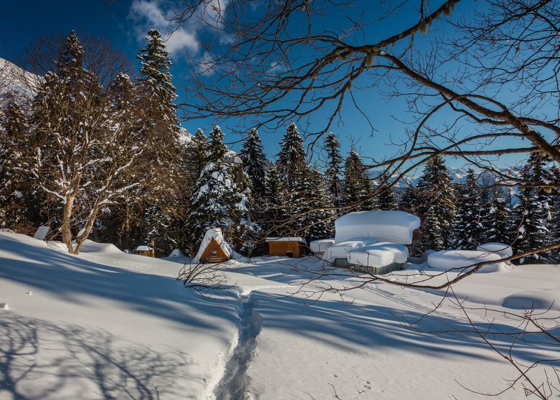 Красная поляна фото превью