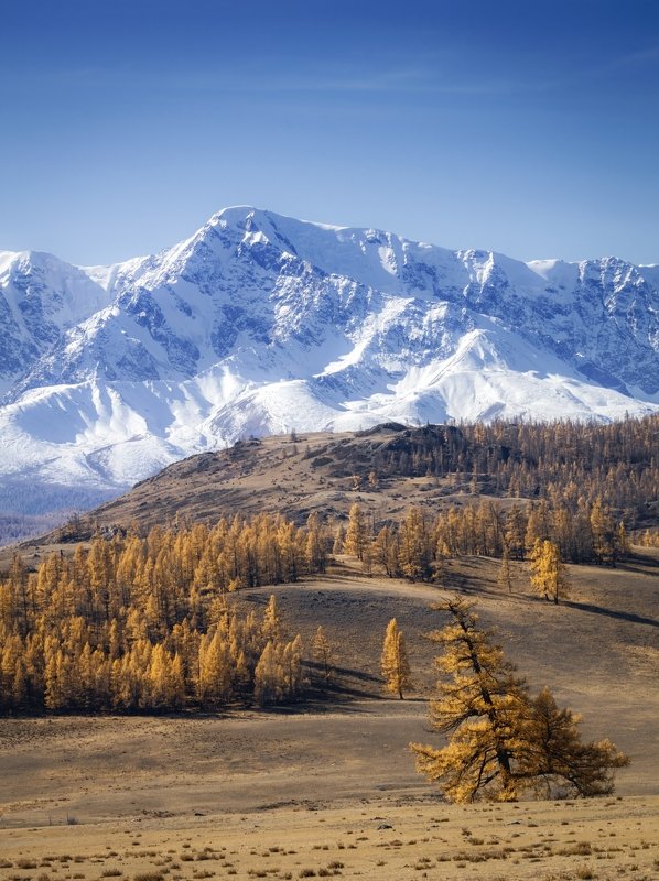 С-Чуйский хребет в октябре фото превью