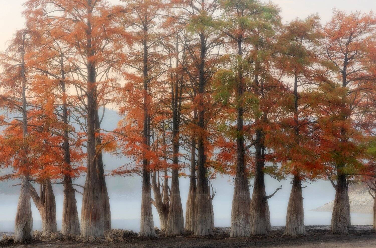 , Alexander Plekhanov