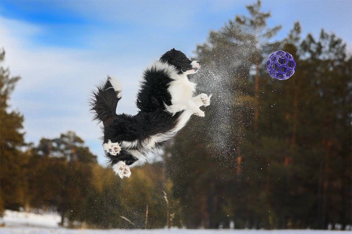 , Андрей Ершов