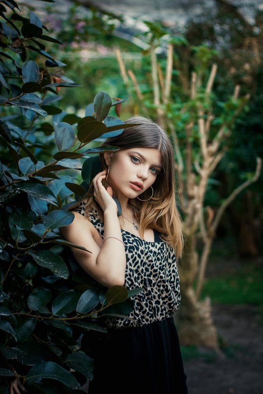 ... фото превью