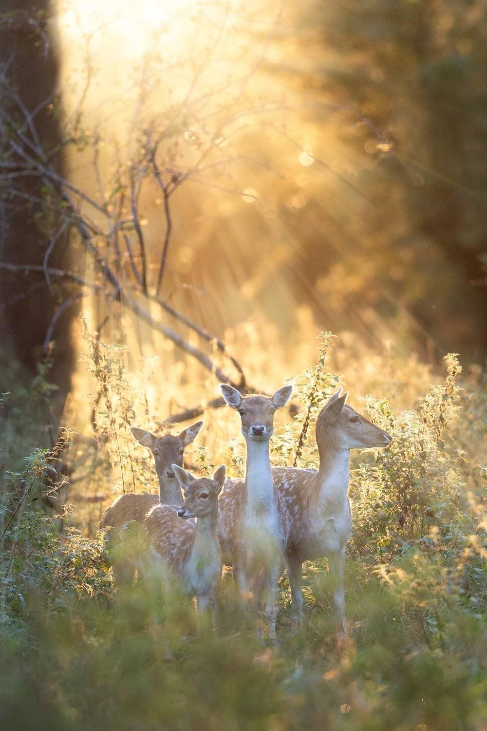 , Marcin Kaczmarkiewicz