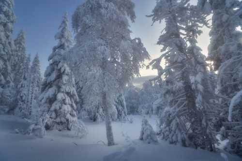 Снежным днем