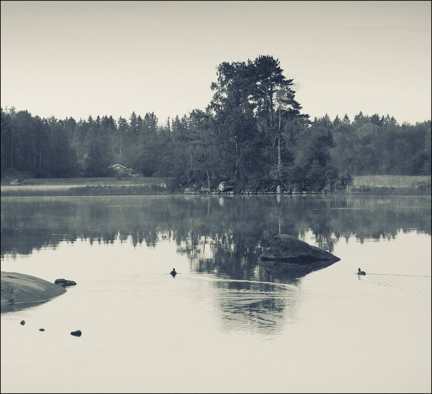 , Георгий Сапожников
