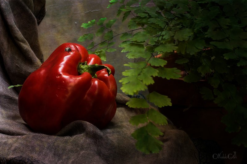 Mr. pepper фото превью