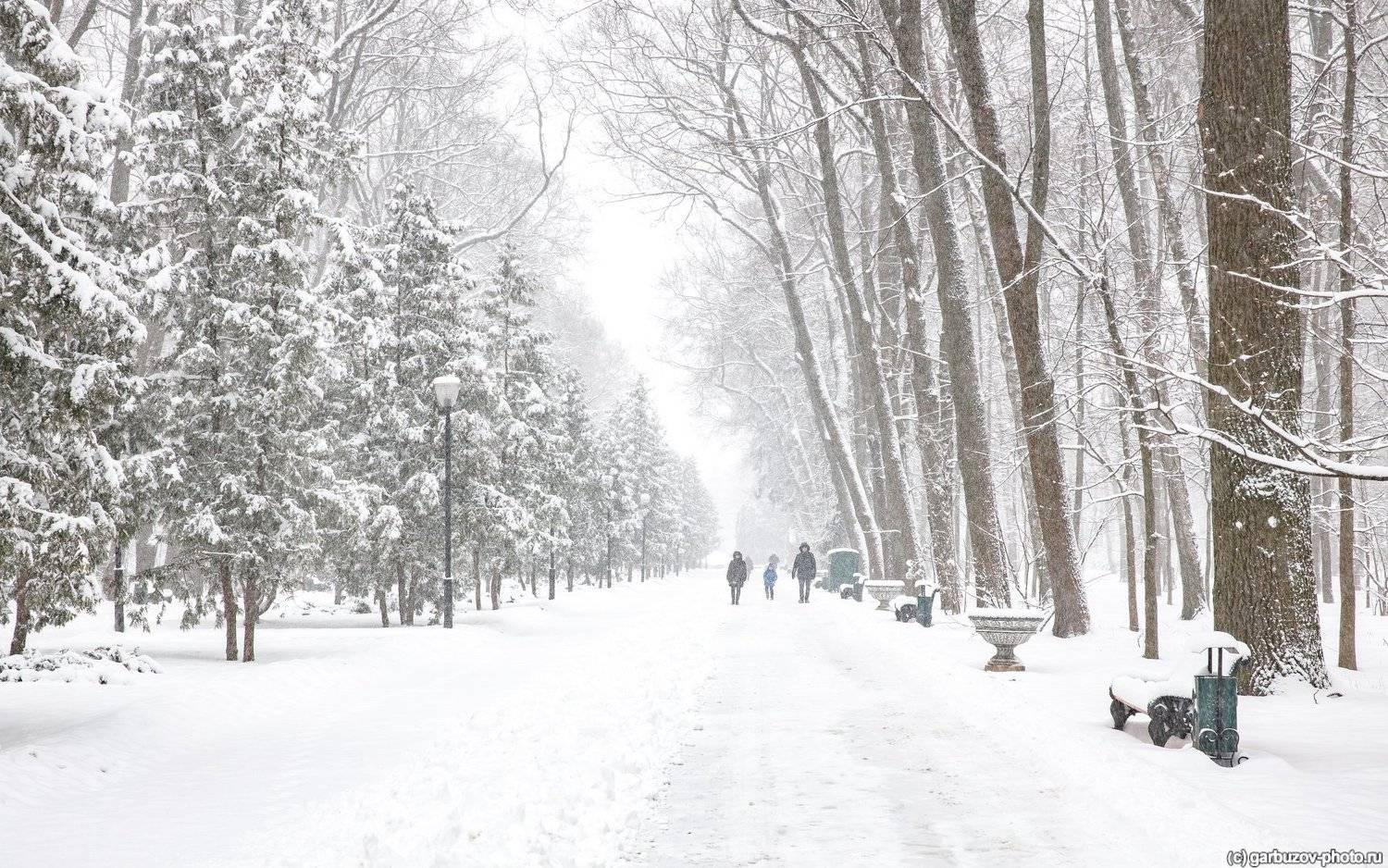 , Гарбузов Илья
