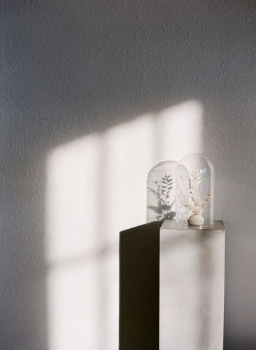 Afternoon Light