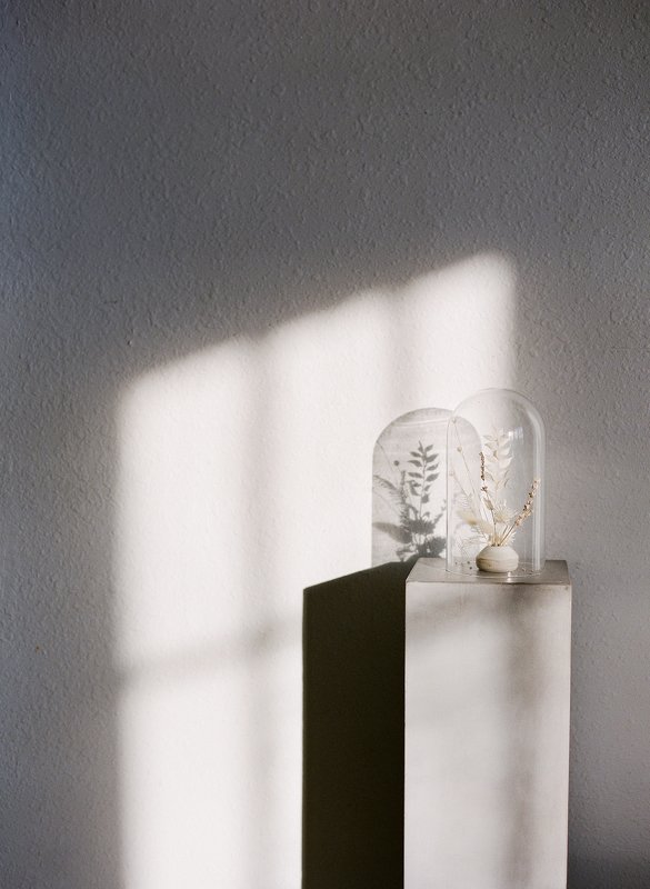 still, life Afternoon Light фото превью