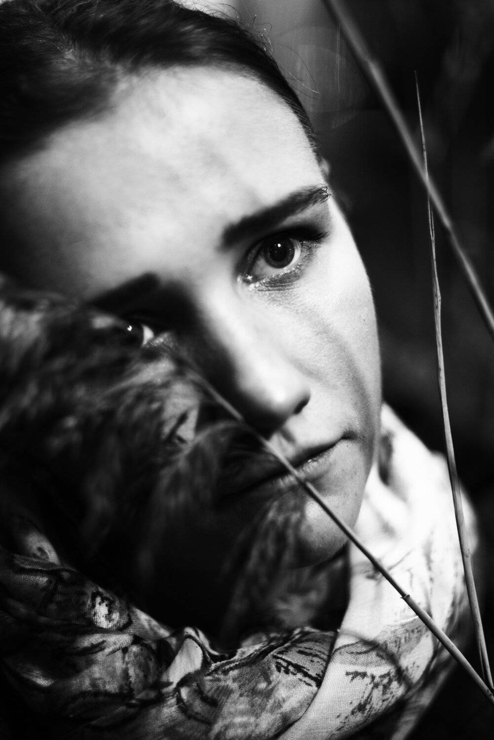 , Алексей Егоров