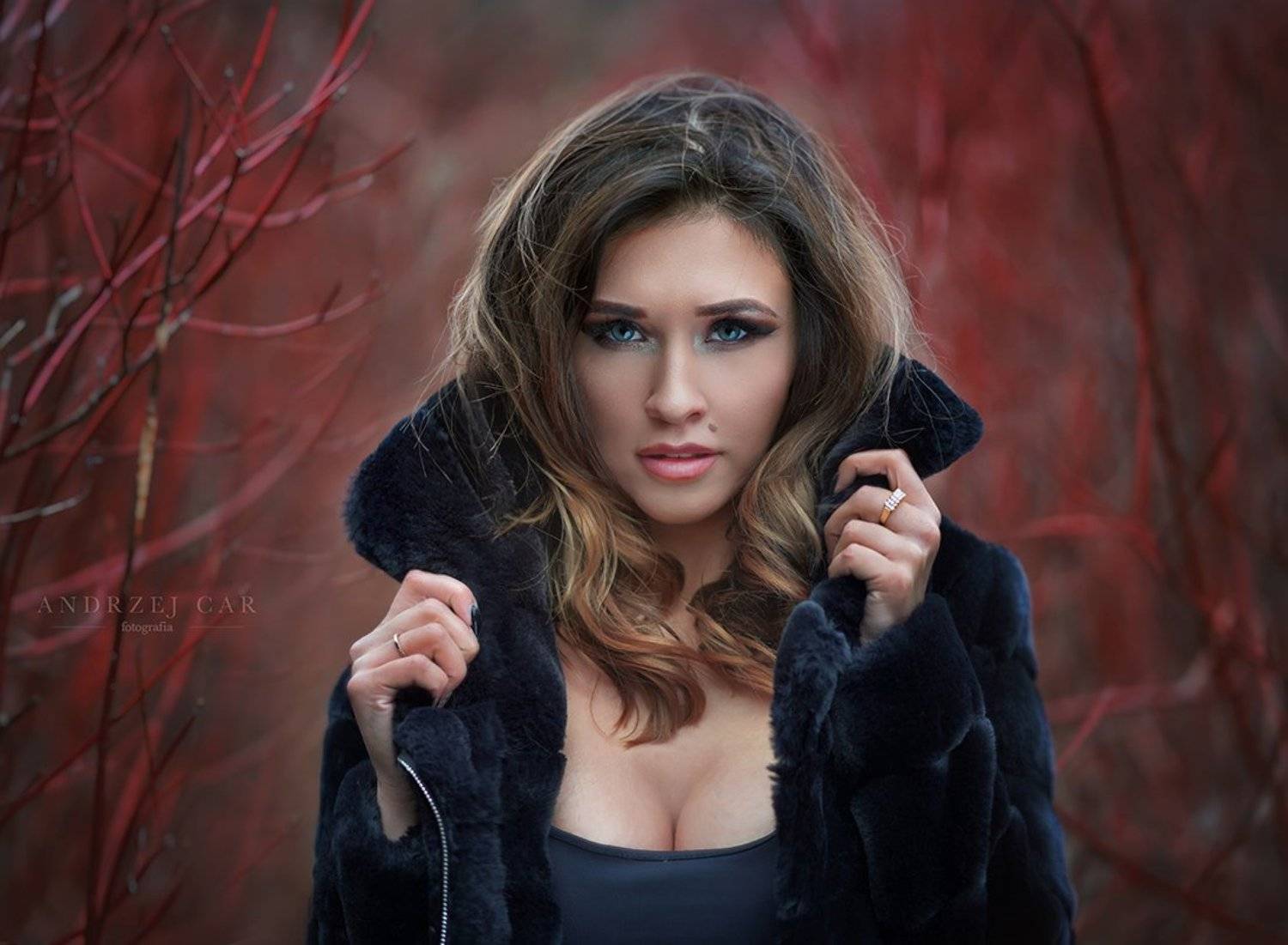 Paula. Автор: Andrzej Car , Andrzej Car