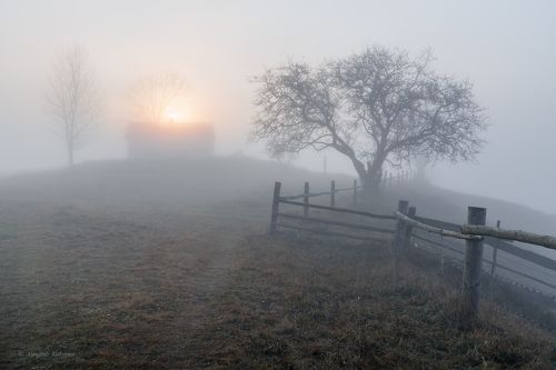 Шёпот осени...