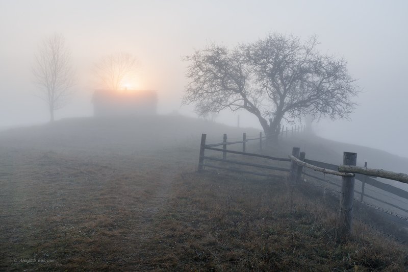 карпаты, осень, пейзаж, рассвет, туман Шёпот осени... фото превью