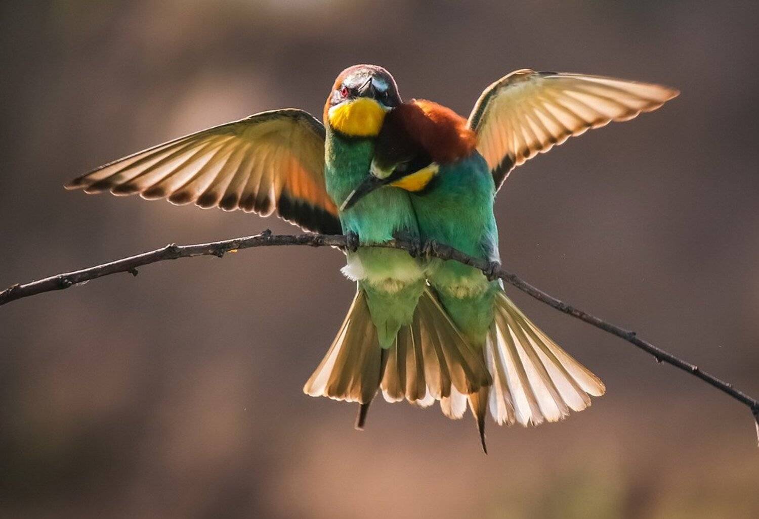 , Вячеслав Мищенко