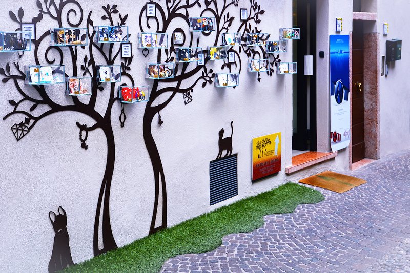 Древо желаний фото превью