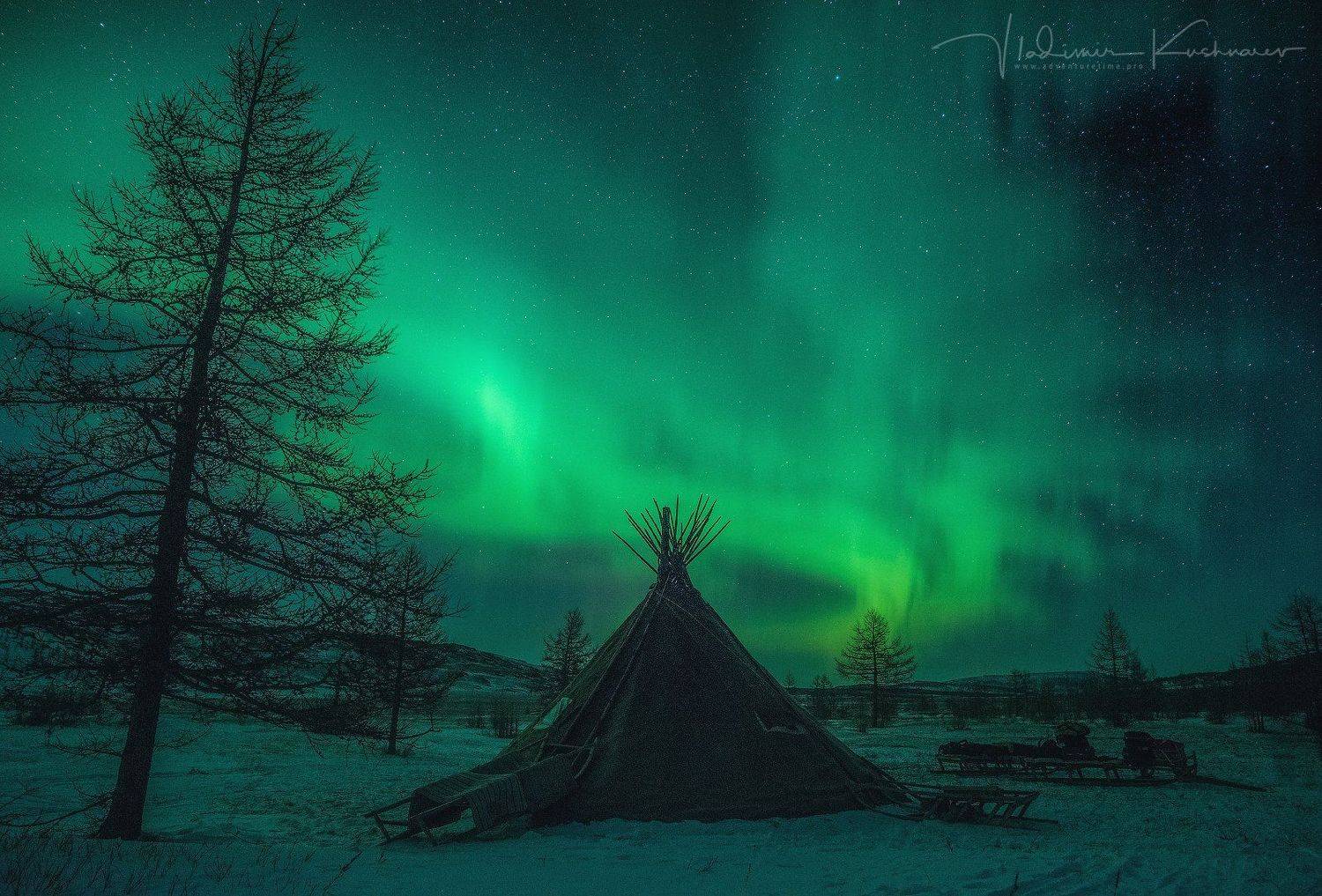 , Vladimir Kushnarev