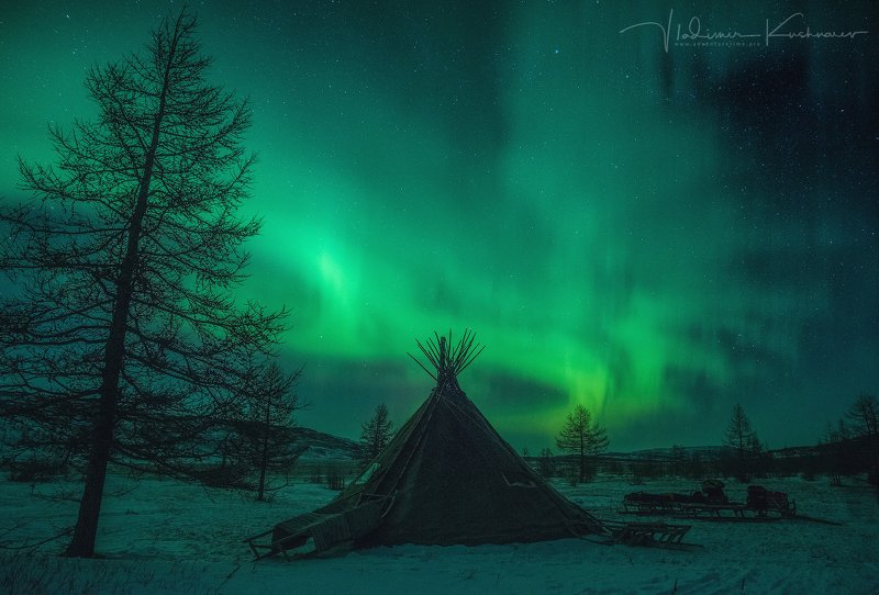 Choom фото превью