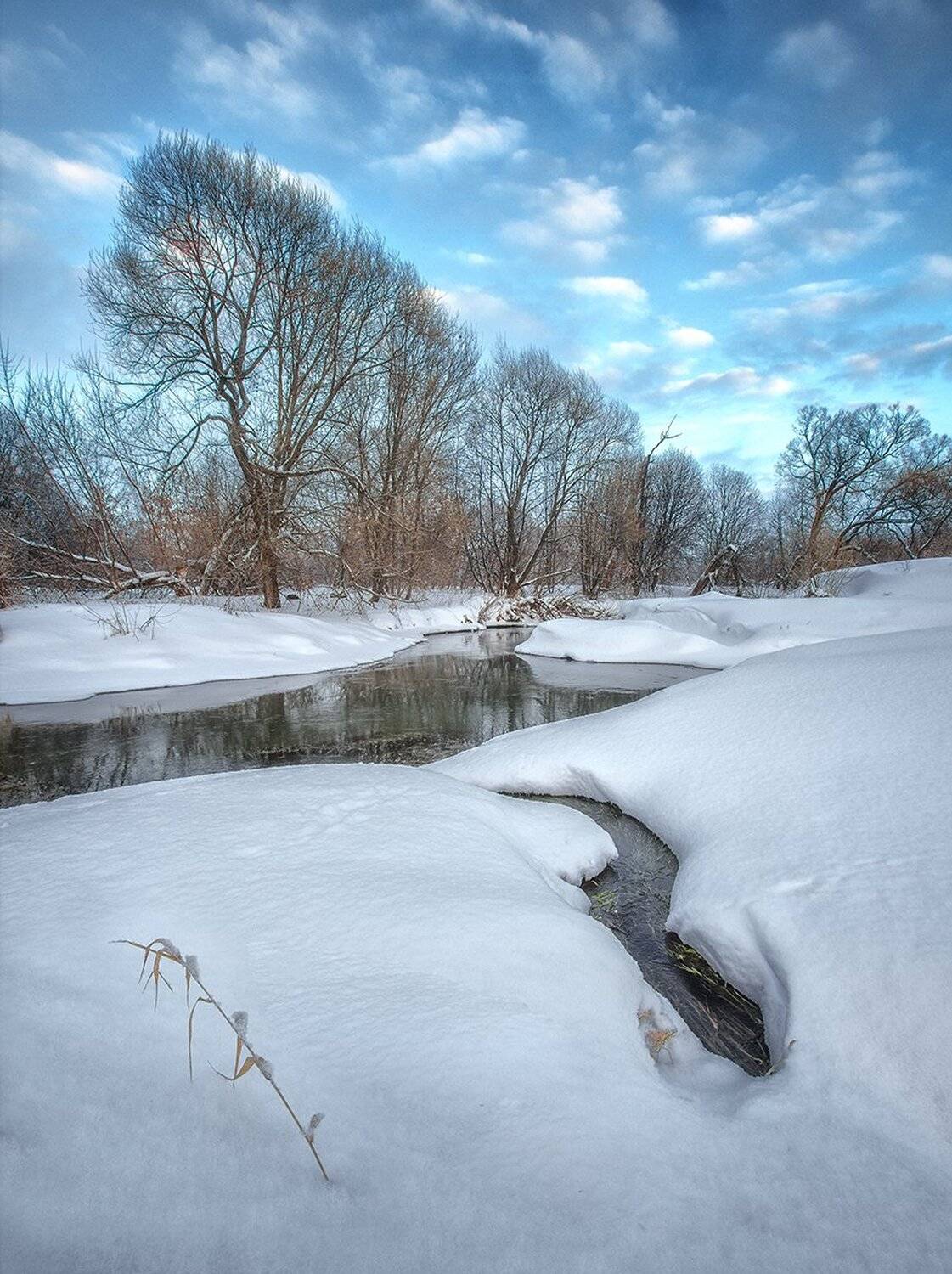 , Николай Андреев