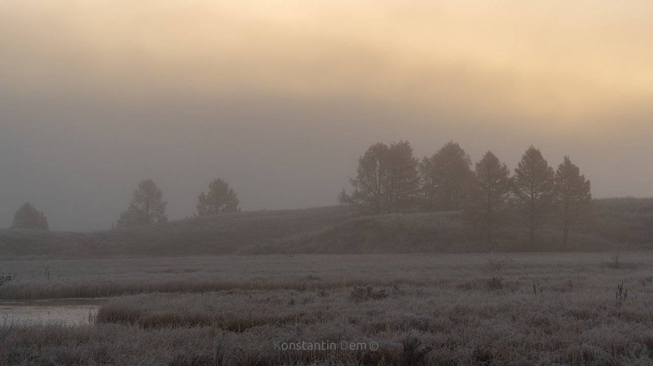 , Константин Дэм
