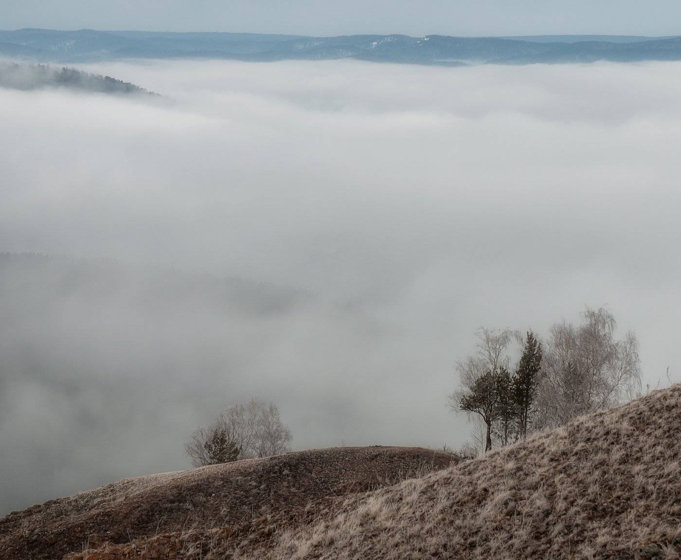 весна. торгашинский хребет.туман., Марина Фомина