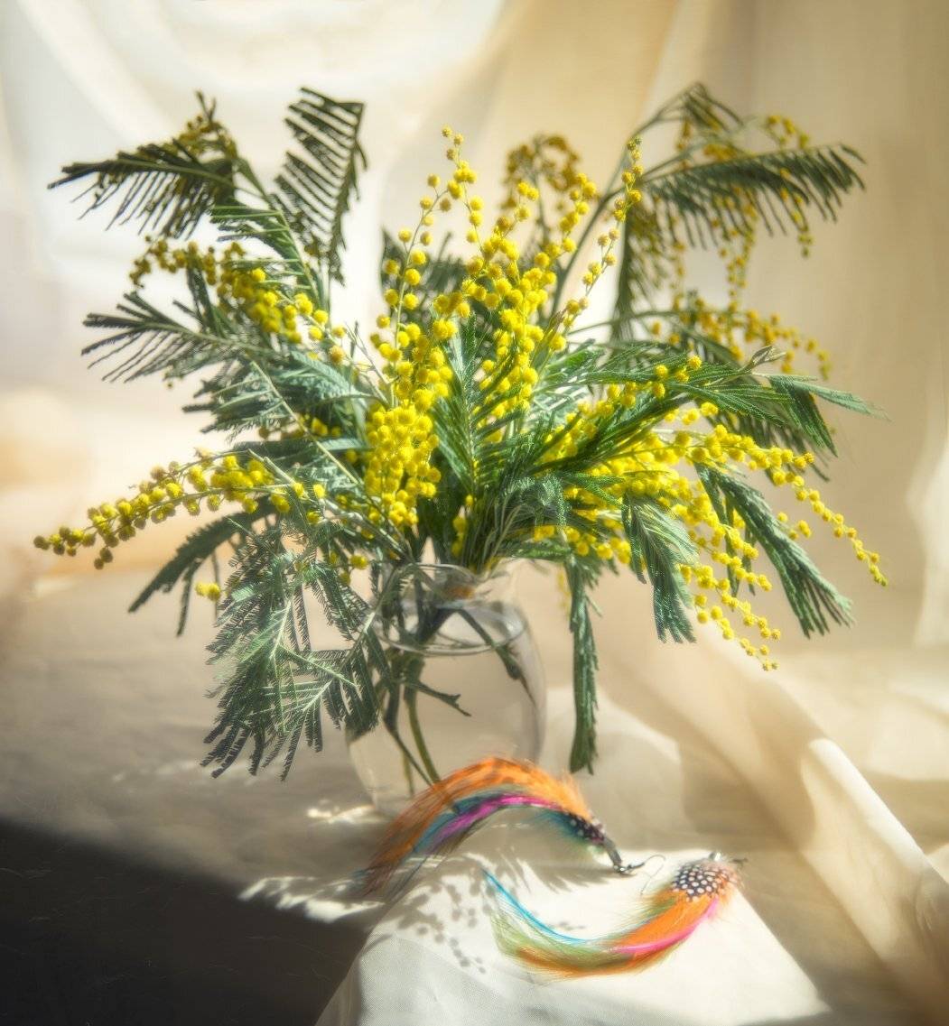 мимоза,весна,букет,гелиос,натюрморт, Елена Брежицкая