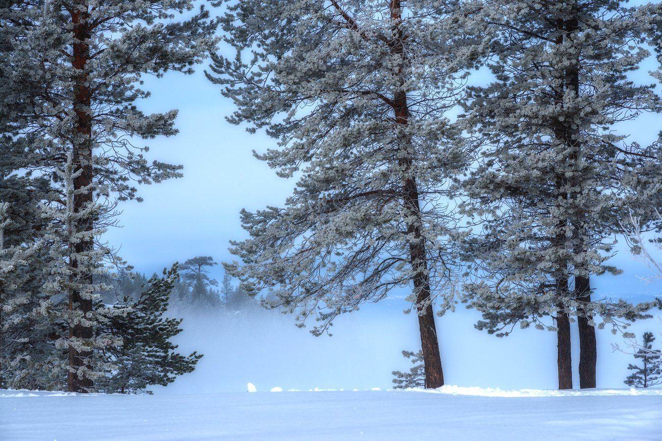 север, кольский, хибины, заполярье,, Роман Горячий