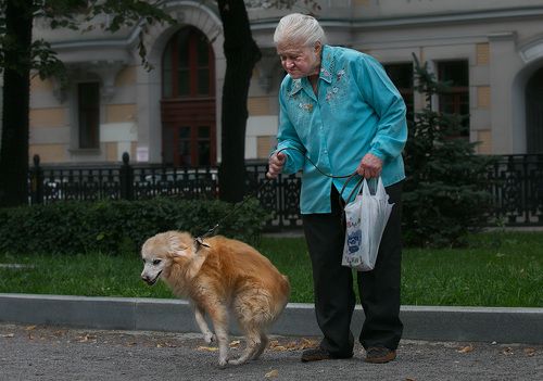Про собак и людей