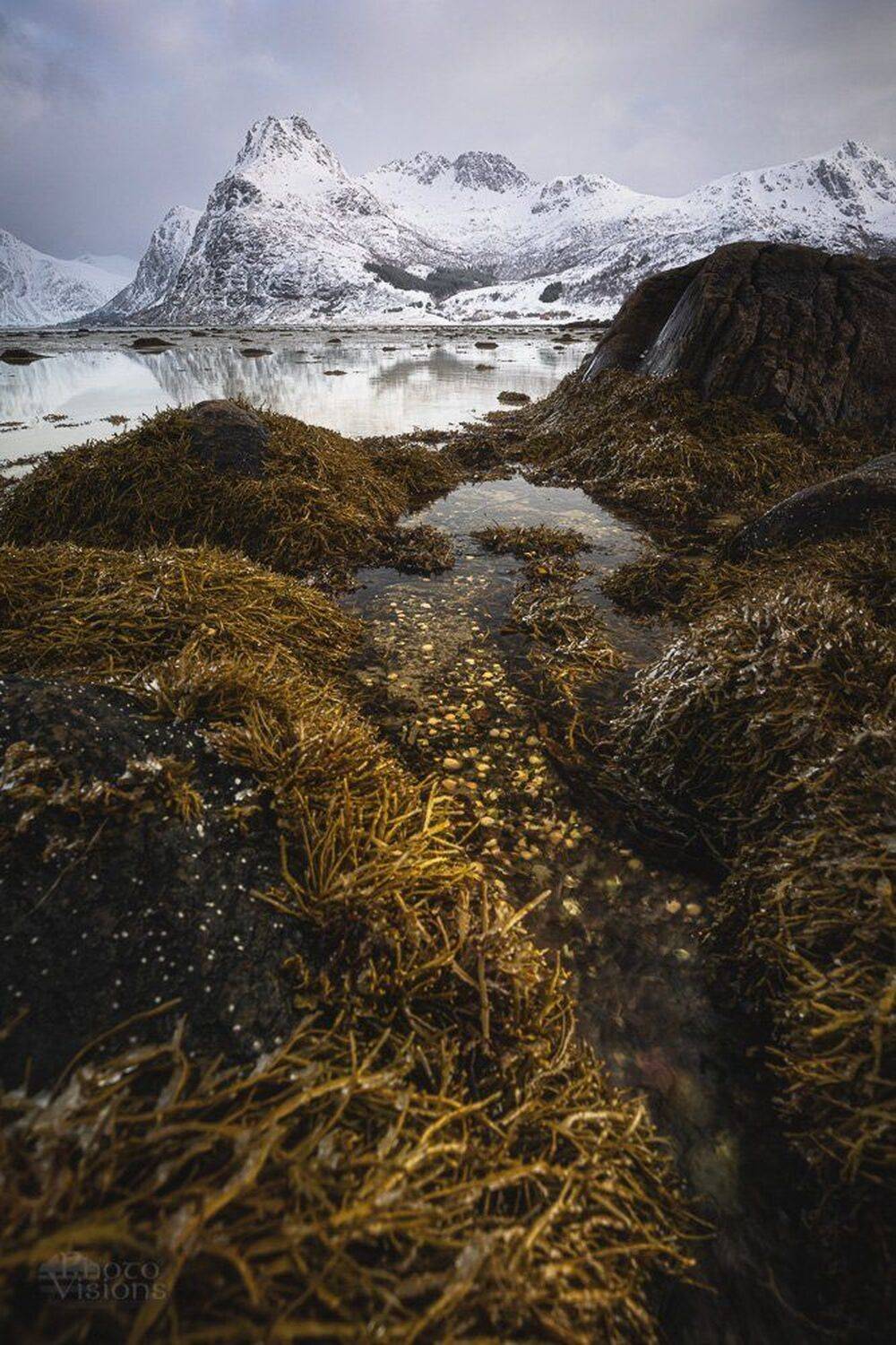 sea,lofoten,shore,shoreline,winter,norway,mountains, Adrian Szatewicz