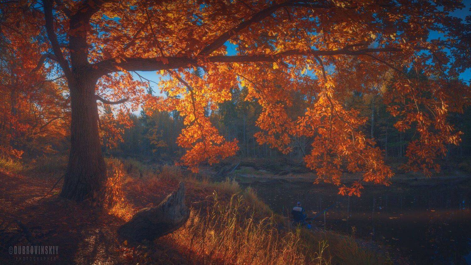 осень, река, бужа, владимирская область, рыбак, рассвет, Михаил Дубровинский