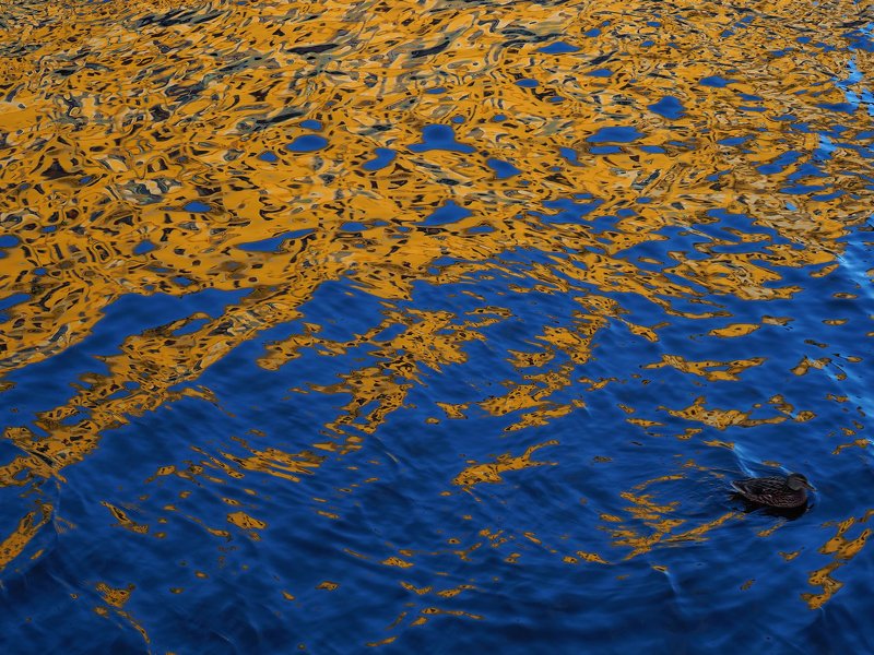абстракция, минимализм, отражение  Блеск воды  фото превью