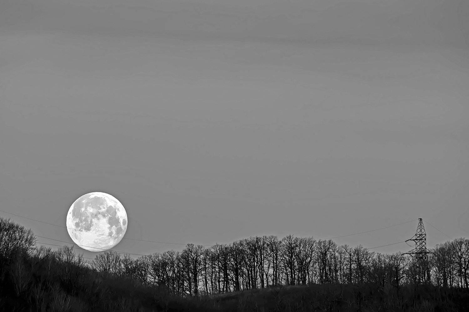 природа, ночь, луна, суперлуние,, Александр Земляной