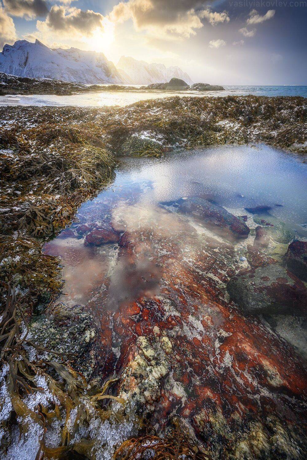 , Василий Яковлев