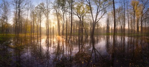 Баташевская весна