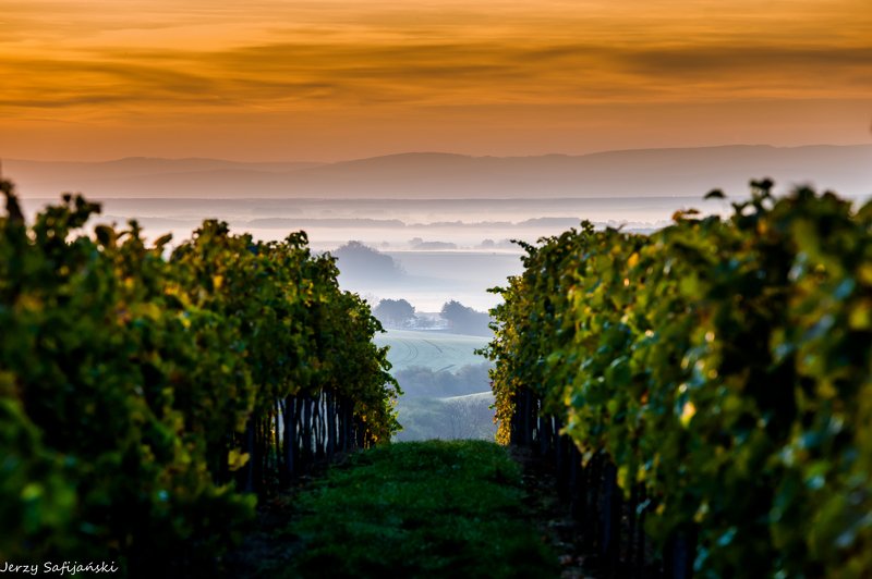 I walk around Moravia фото превью