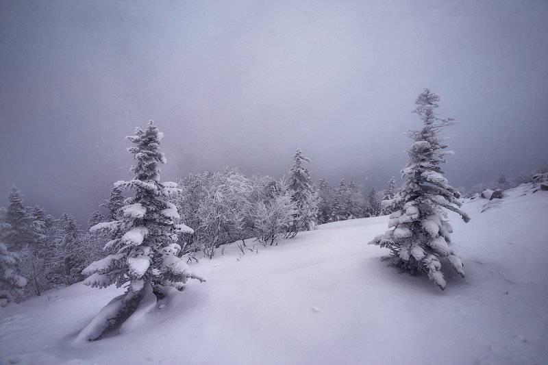 ***** фото превью