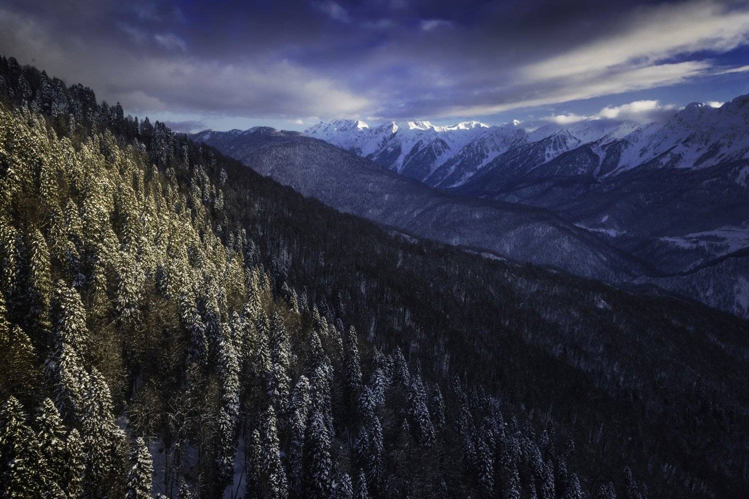 , Евгений Кузьмин