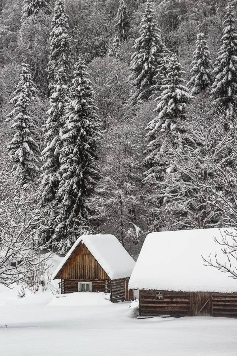 карпаты, украина, зима, свидовец, Алексей Медведев