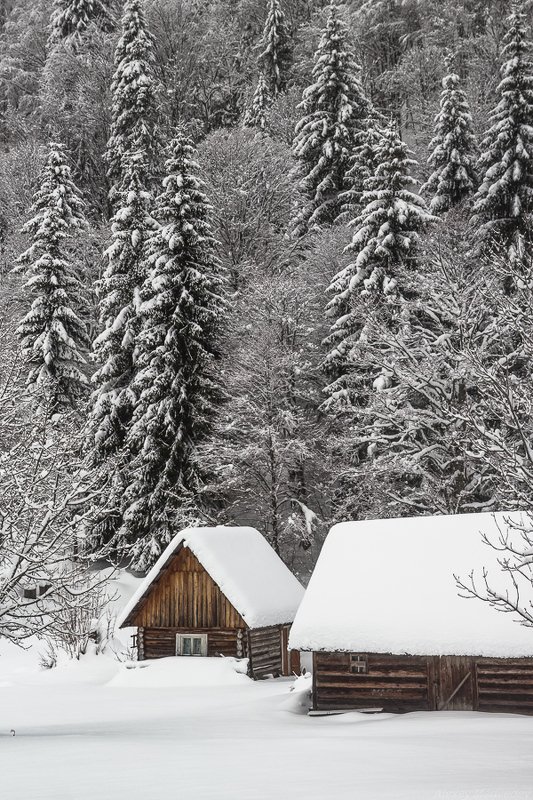 карпаты, украина, зима, свидовец Хатки ожидают фото превью
