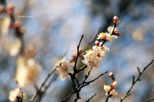 Spring time