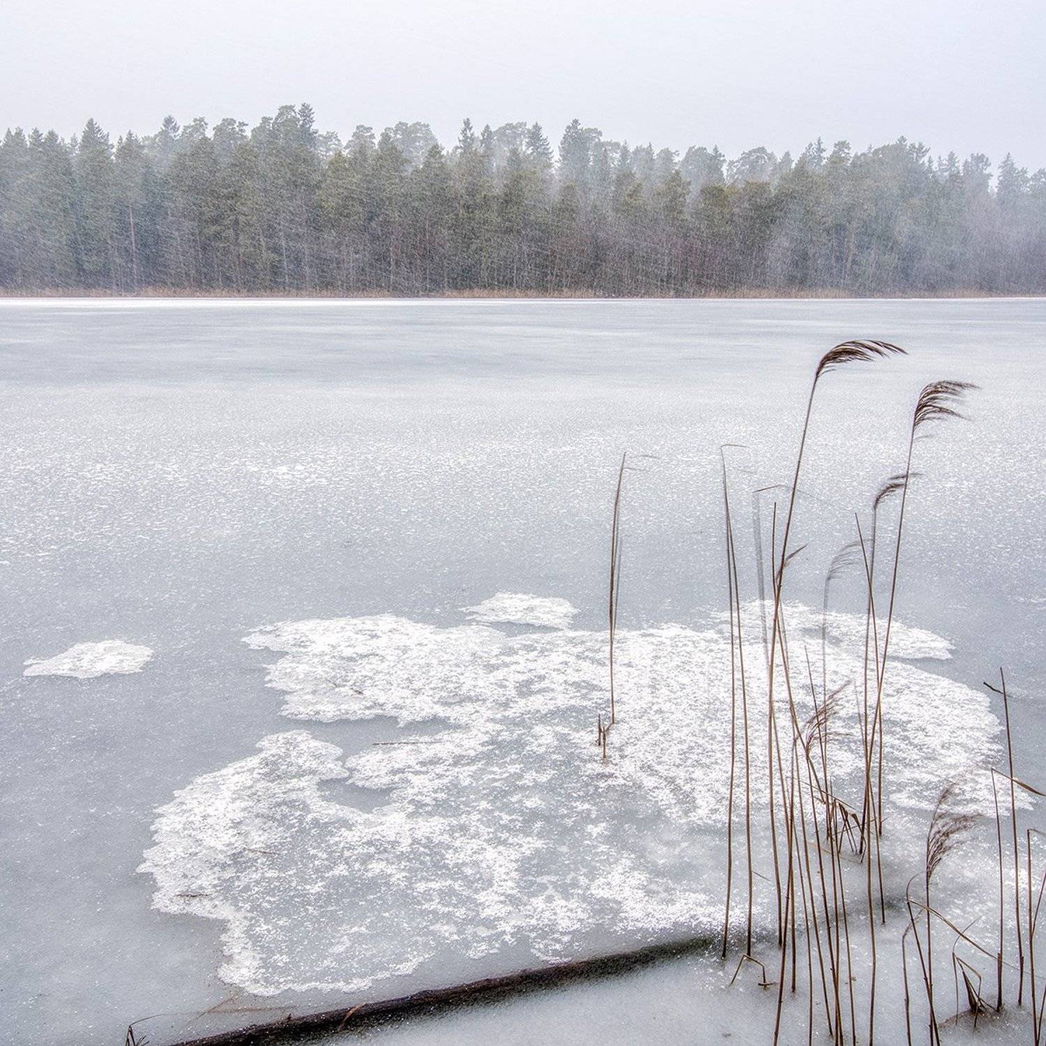 , Федотов Антон