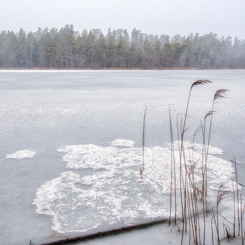В метель фото превью