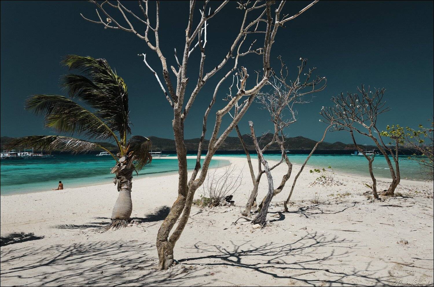 , Андрей Шумилин