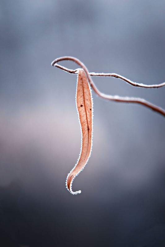 Minimal... фото превью