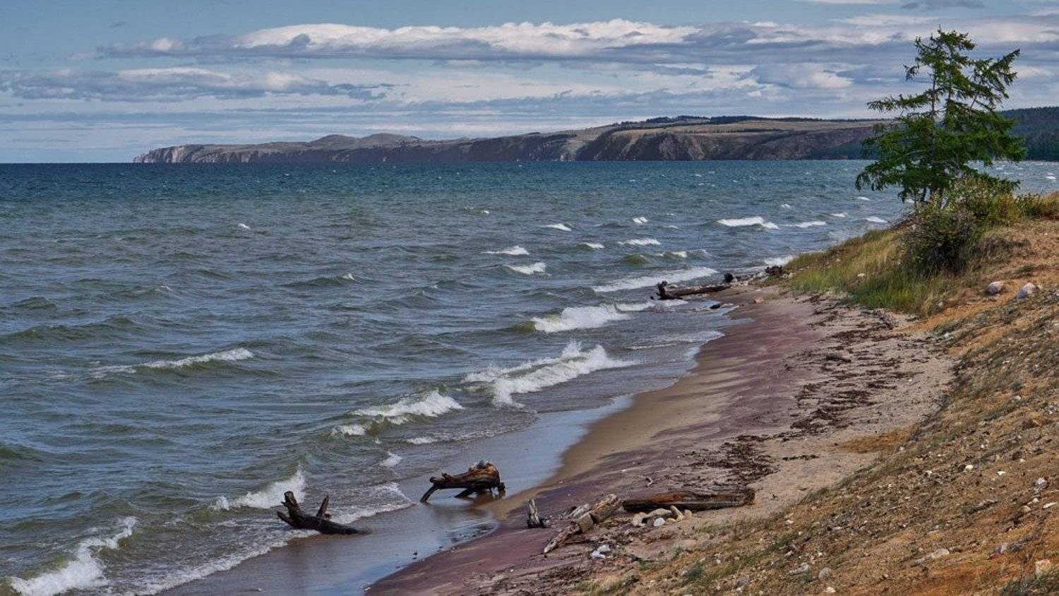 , Сергей Низовцев