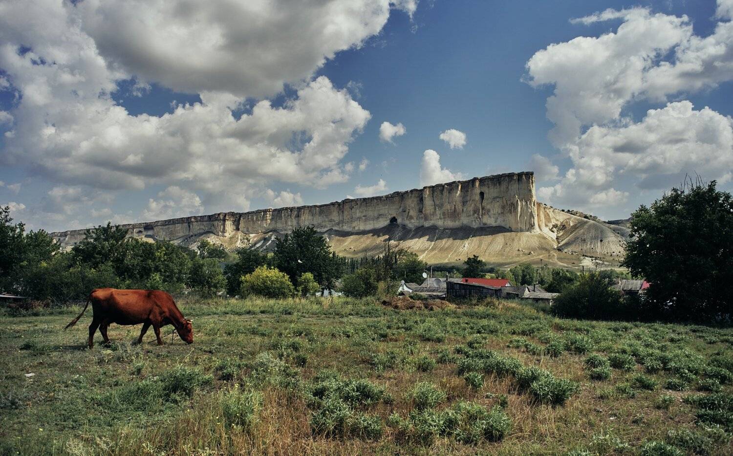 , Александр Фанковин