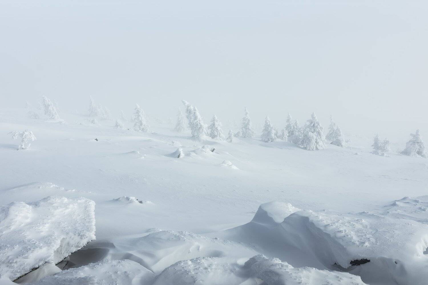 , Андрей Шарапов