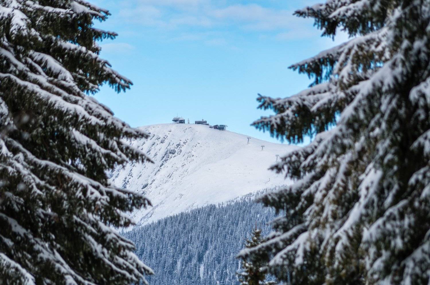 , Maciej Werbliński