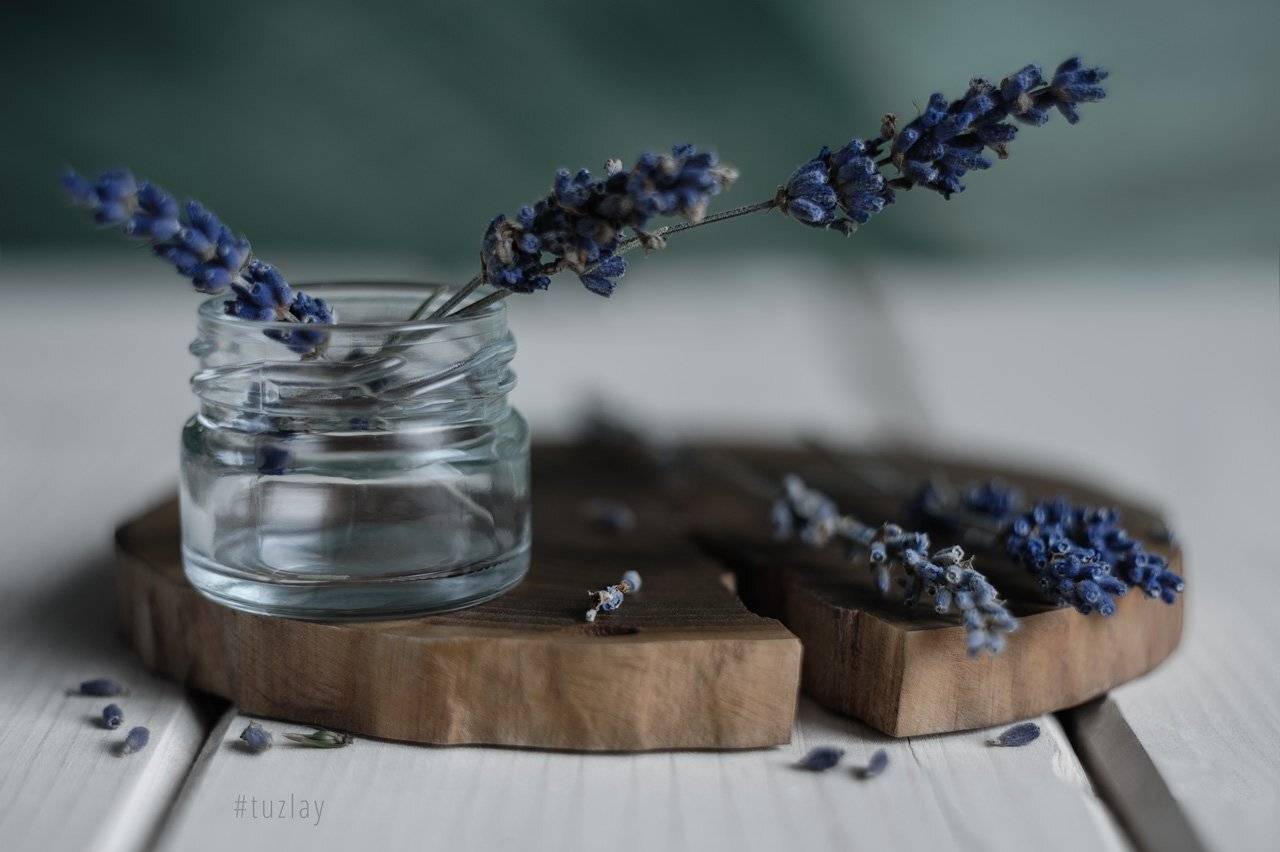 лаванда, гелиос, софт фокус, Владимир Тузлай