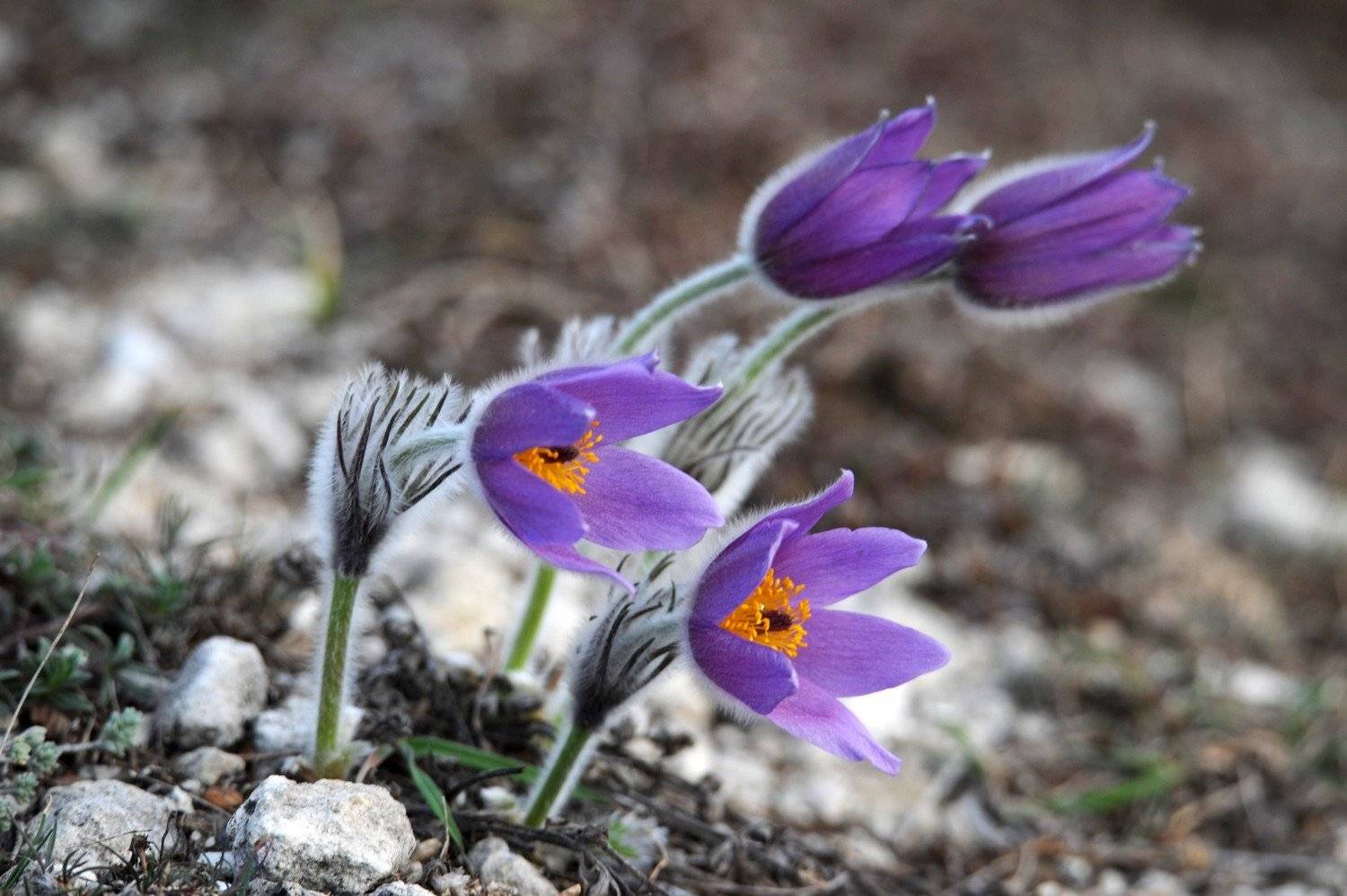 , Дарья Васильева