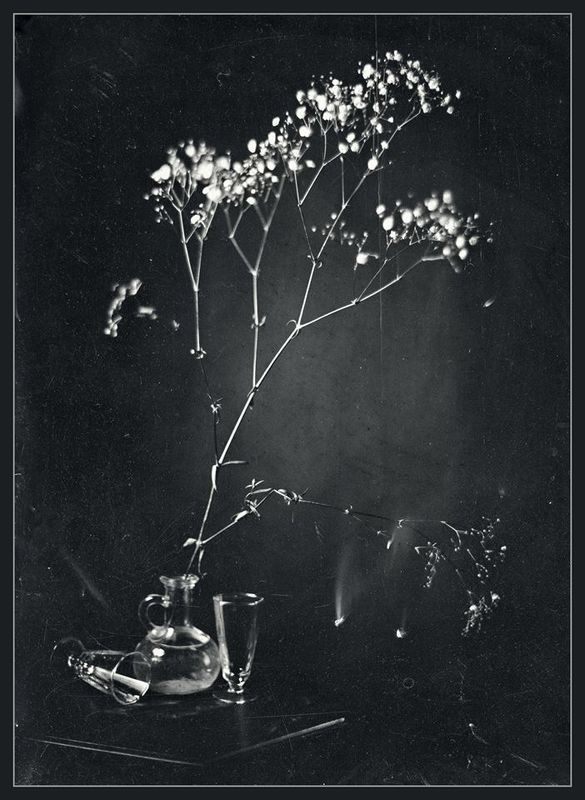 Весна в графине фото превью