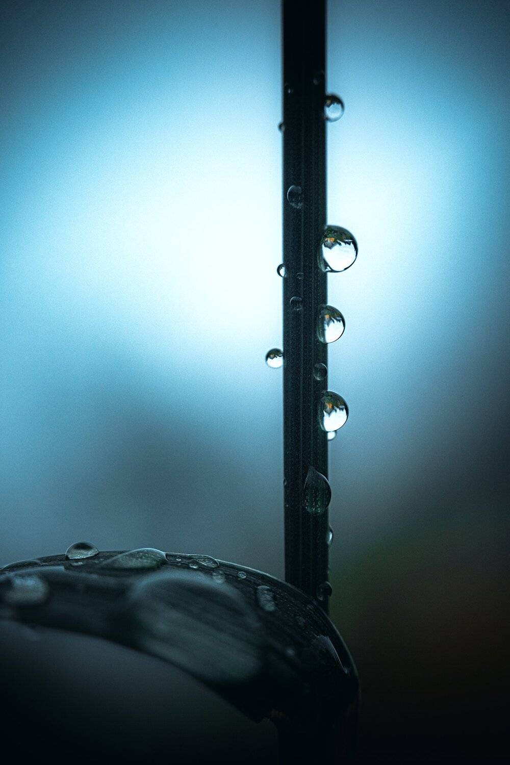 , Рут Андрей